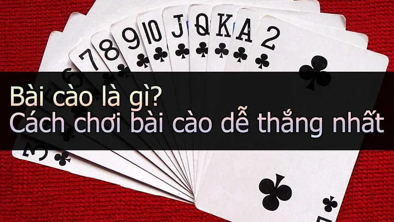 Chinh phục bài cào tại mọi sân cược casino Việt Nam